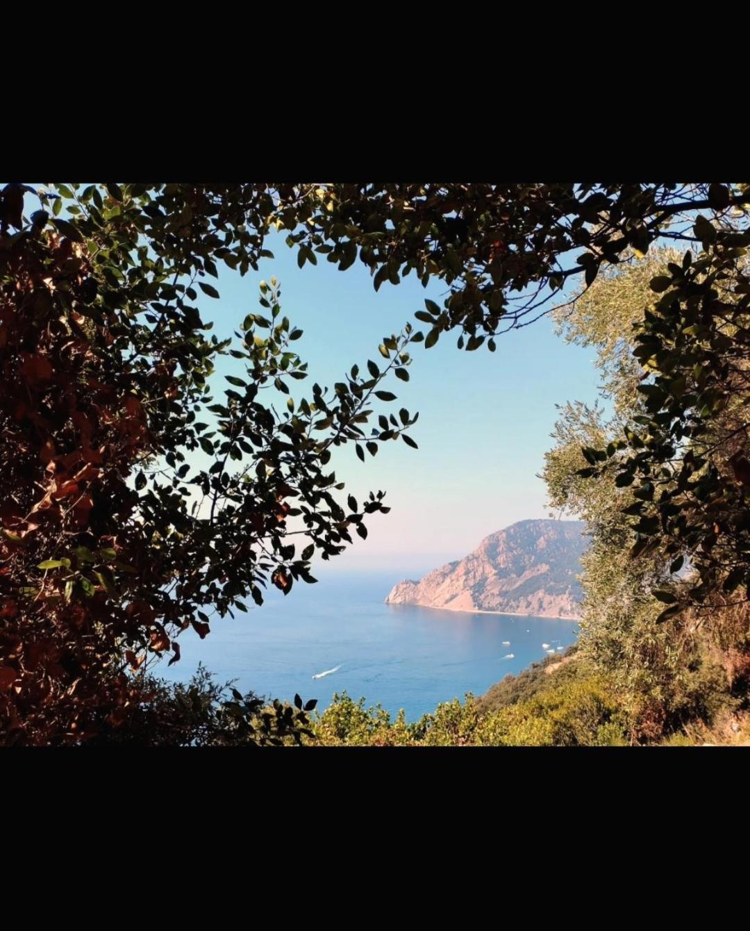 Апартаменты Nido Al Mare Бонассола Экстерьер фото